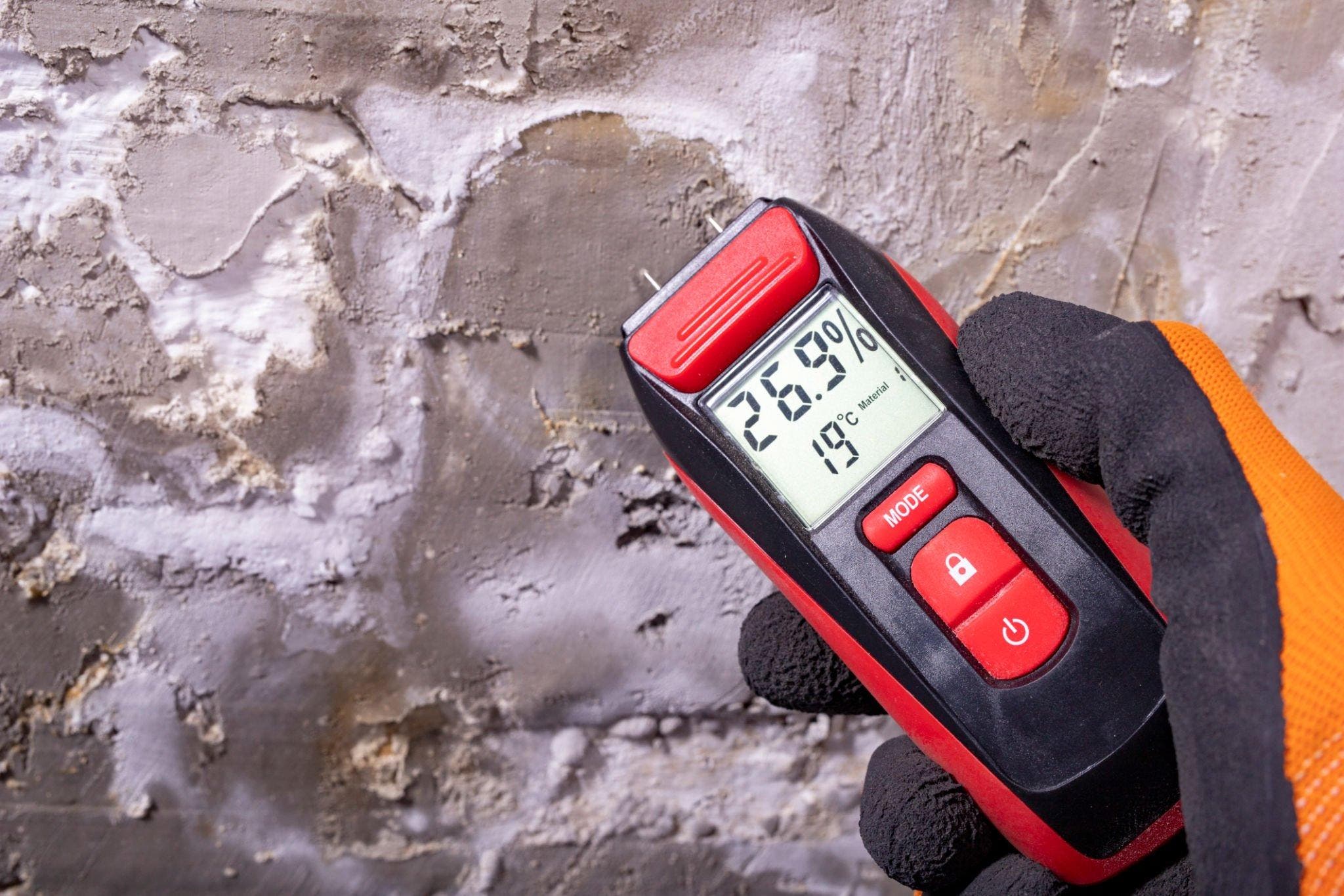 Why Every Homeowner Should Consider Mold Testing in Birmingham