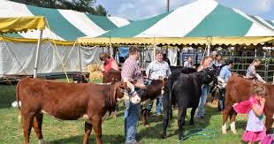 76th Annual Somerset County 4-H Fair