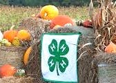 Somerset County 4-H Ag-Venture: Fall Harvest