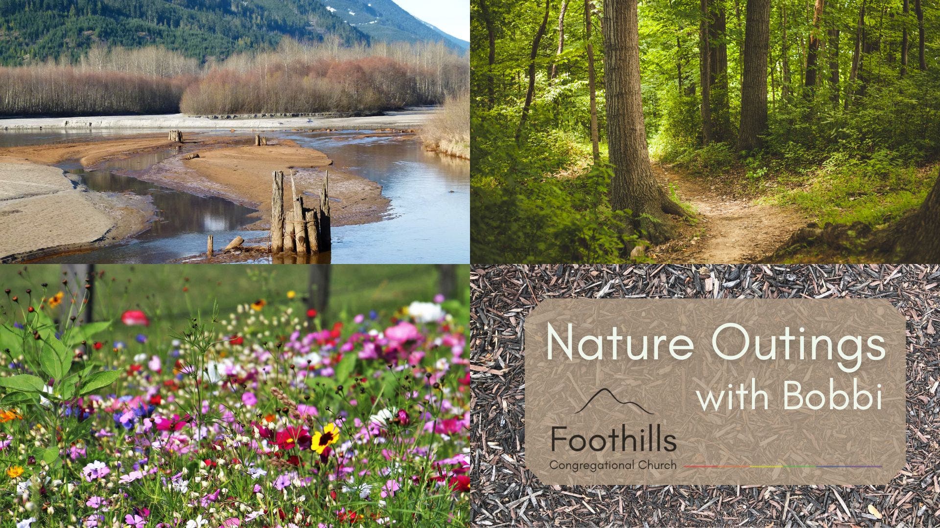 2 hikes at Foothills Nature Preserve