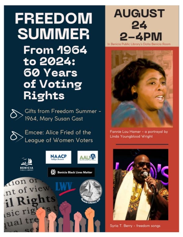 Freedom Summer