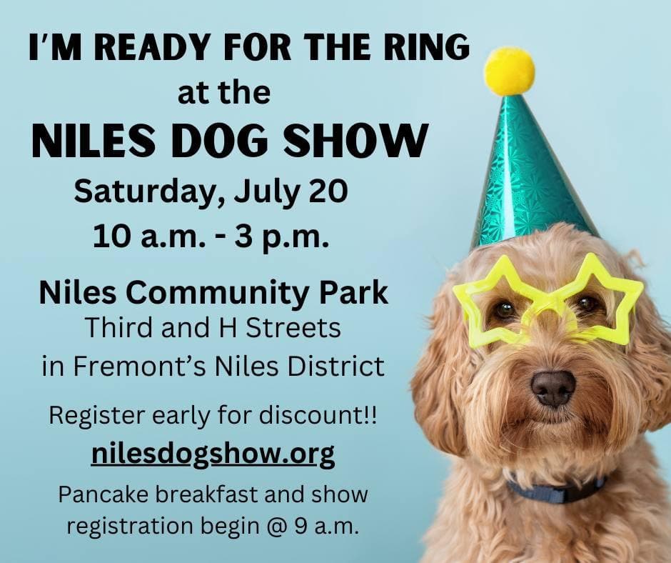 Niles Dog Show