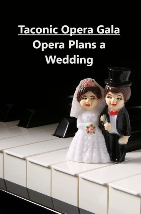 Taconic Opera’s 2024 Annual Gala: Opera Plans a Wedding