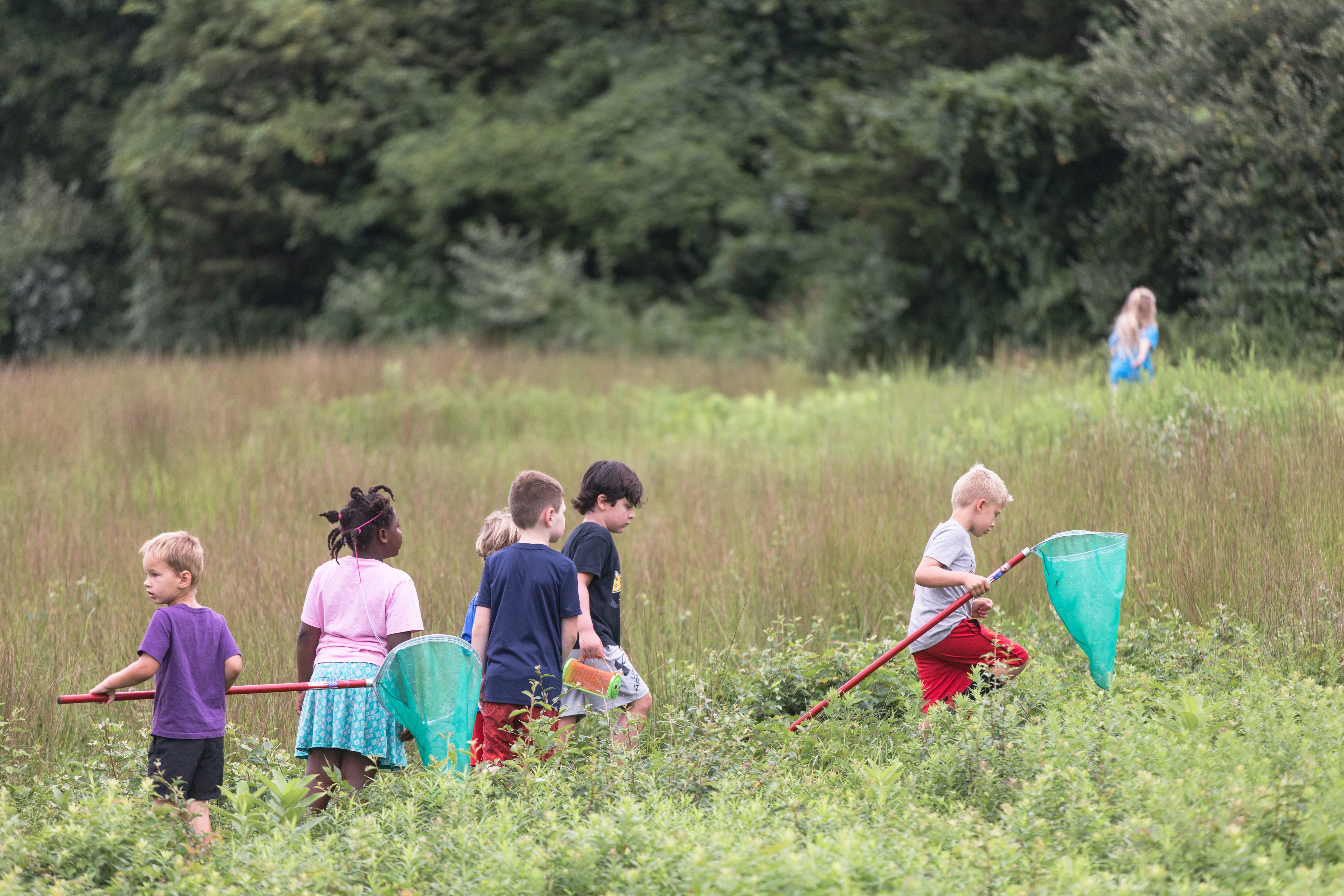 Bugs & Butterflies - FREE Family Program