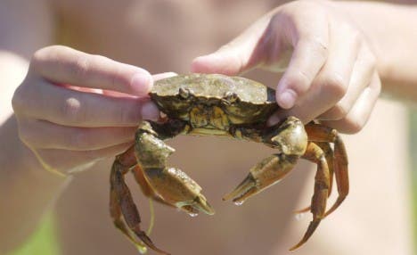 Crabbing with DPNC