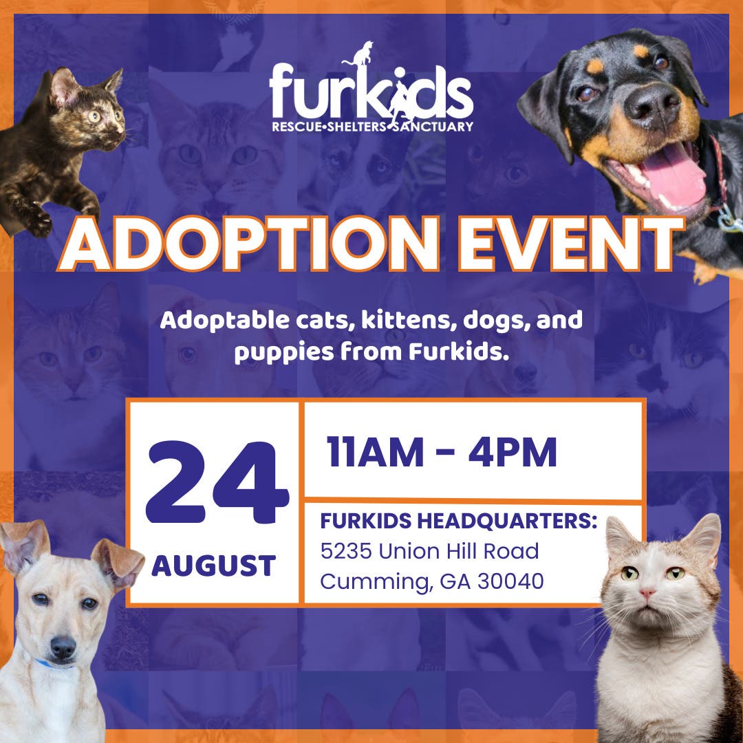 Adoption Event at Furkids 