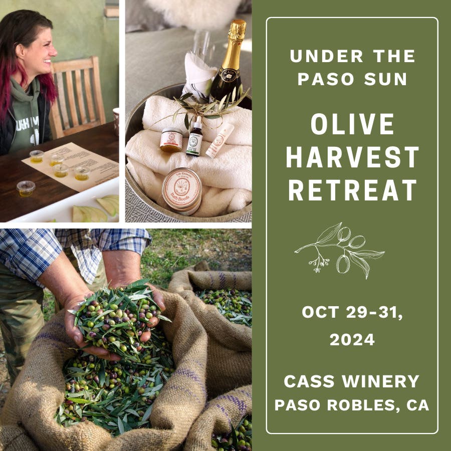 under the paso sun | olive harvest retreat