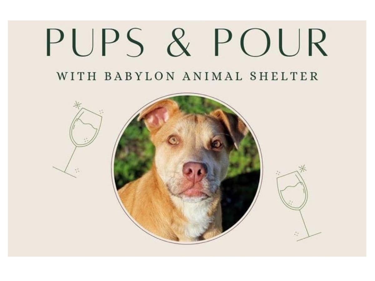 Adoptable dogs looking to meet their forever families will be out on the town Saturday afternoon at Pups & Pour, a pet adoption event hosted by the Babylon Animal Shelter and Village Vines in Babylon. 