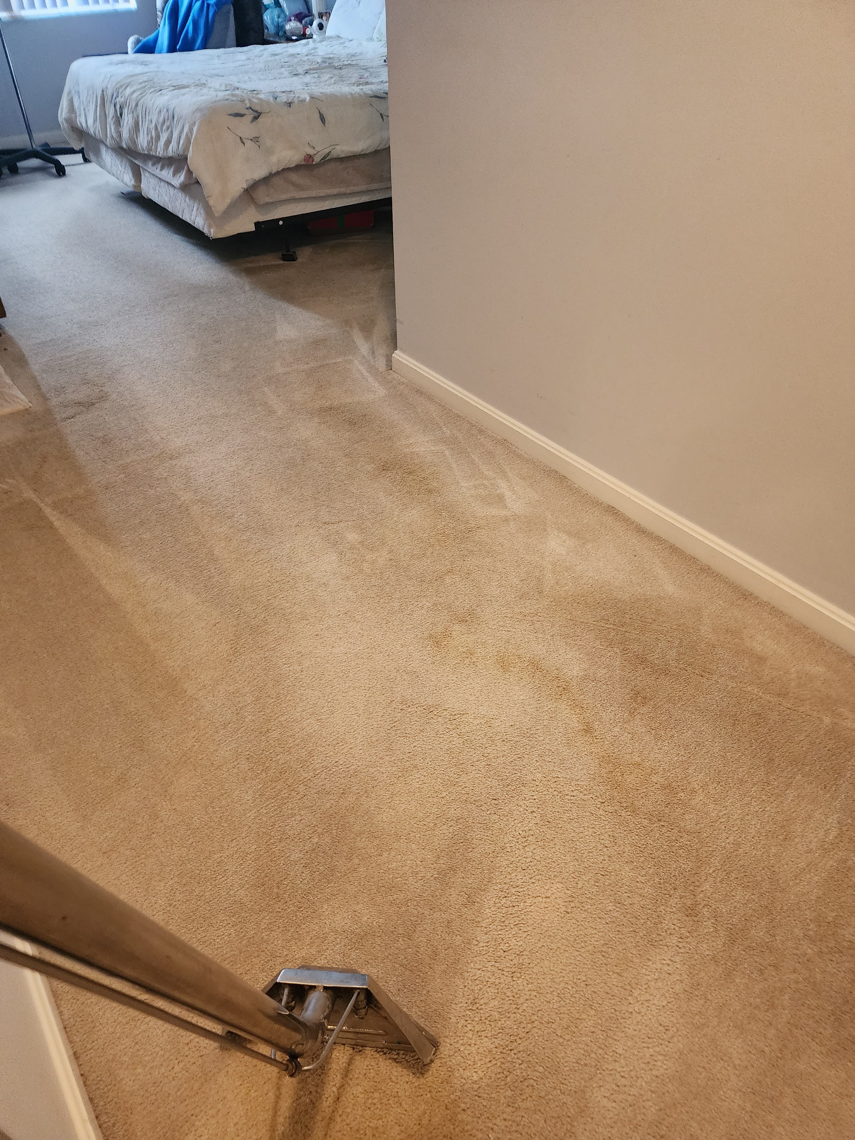 Quality Carpet, Rug, or Upholstery Cleaning