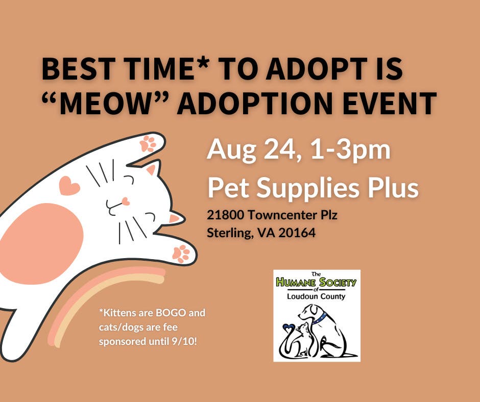 HSLC Adoption Event