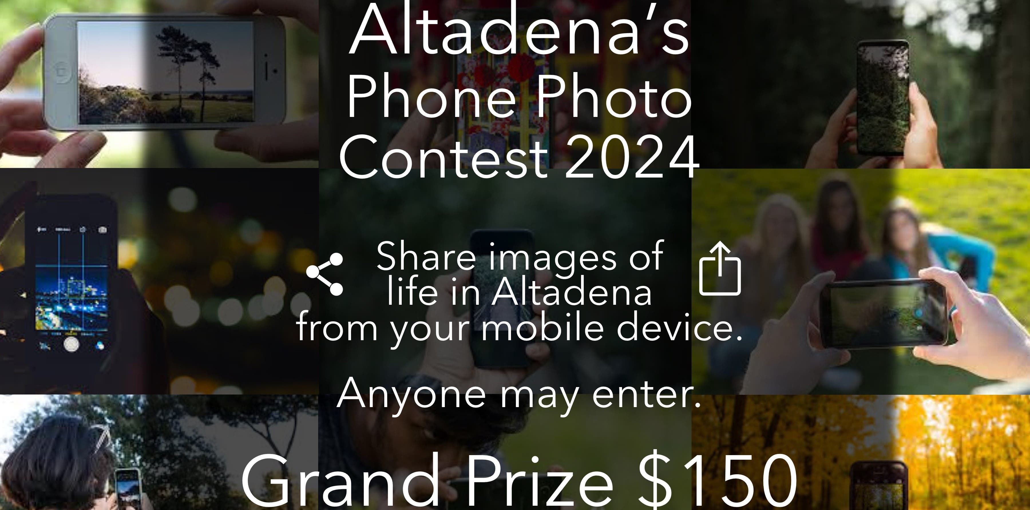 Altadena's Phone Photo Contest 2024