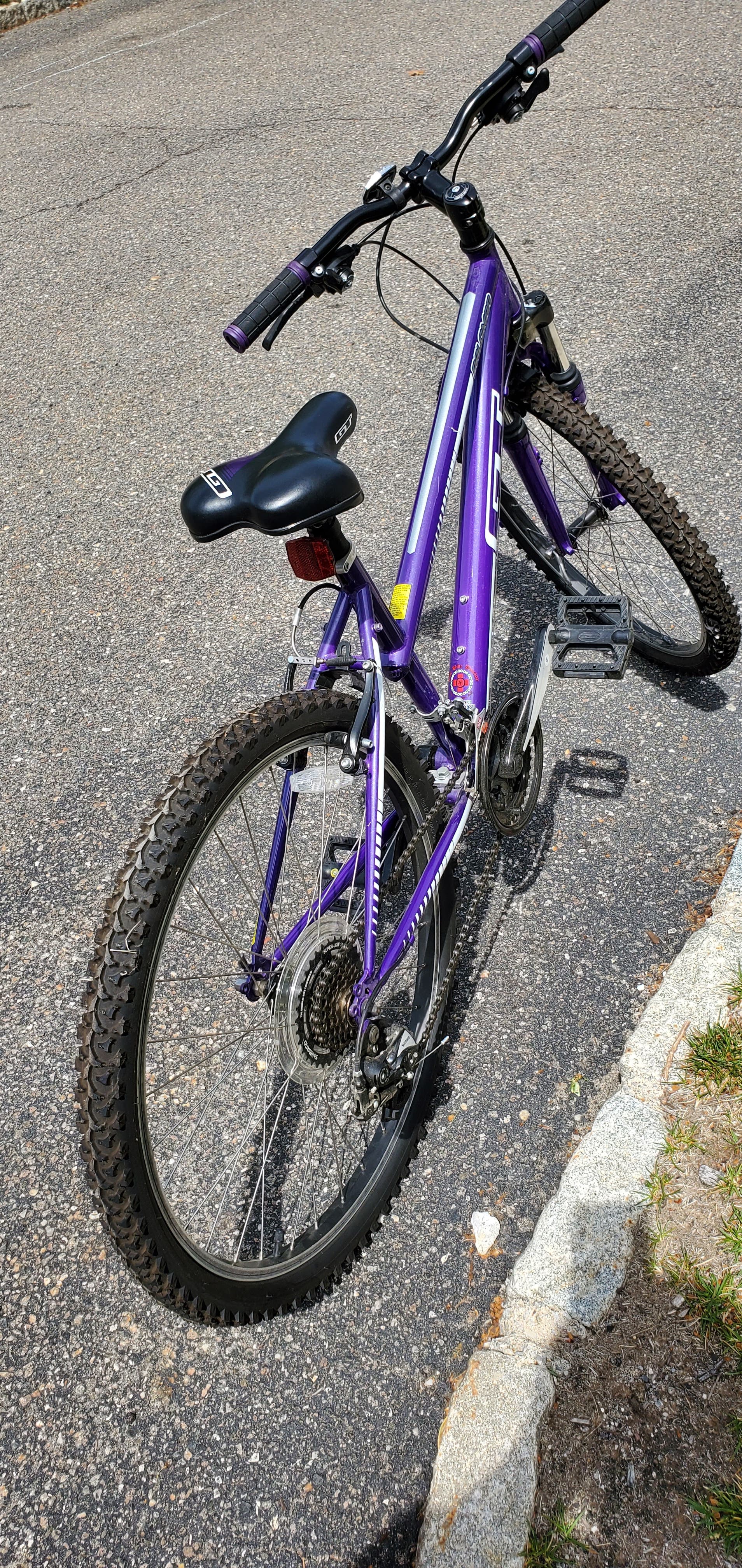 Women's 21 Speed Mountain Bike