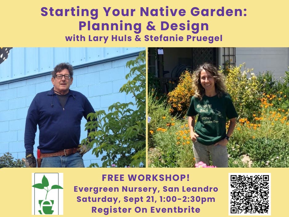 "Starting Your Native Garden: Planning & Design"