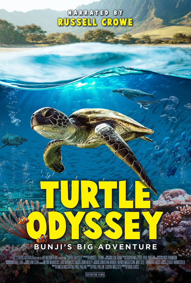 CMA Invites Guests to New Movies: “Turtle Odyssey” and “T-Rex”  