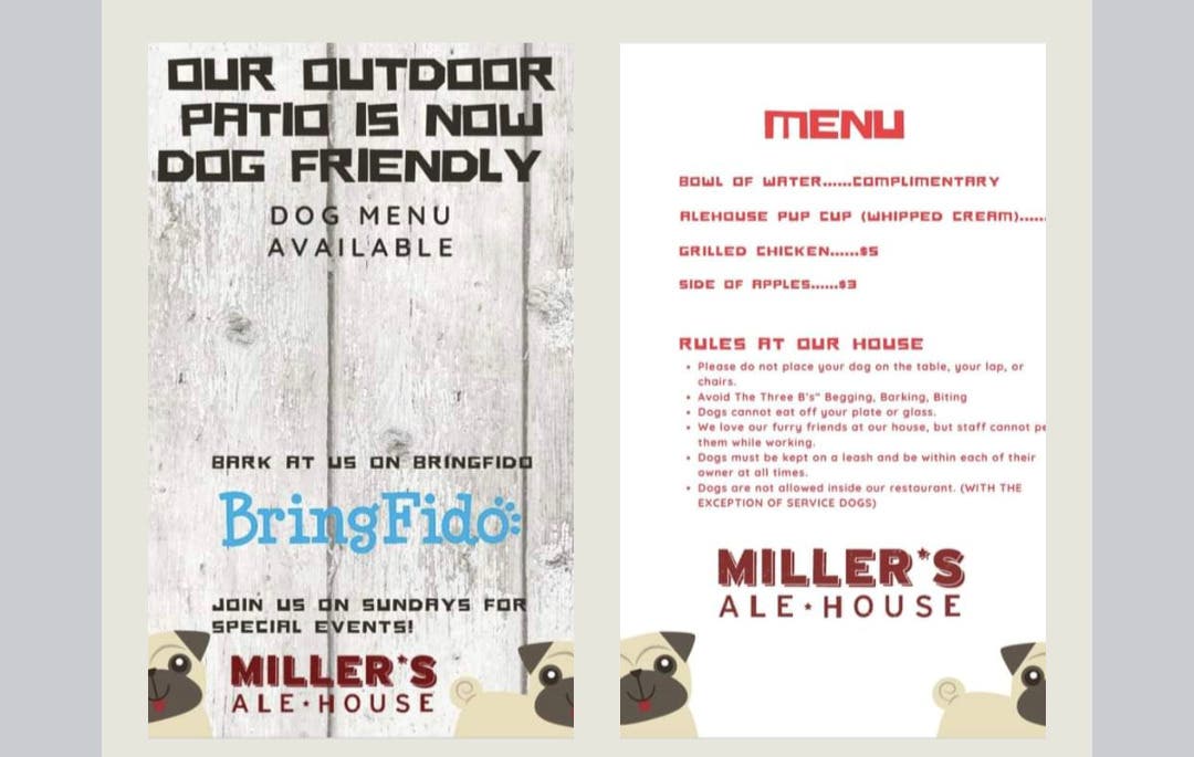 Sunday's Dog Friendly Patio Events Miller's Ale House Woodbridge 