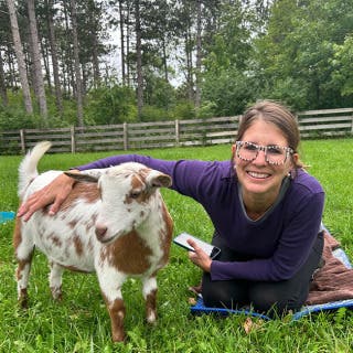 Goat Yoga