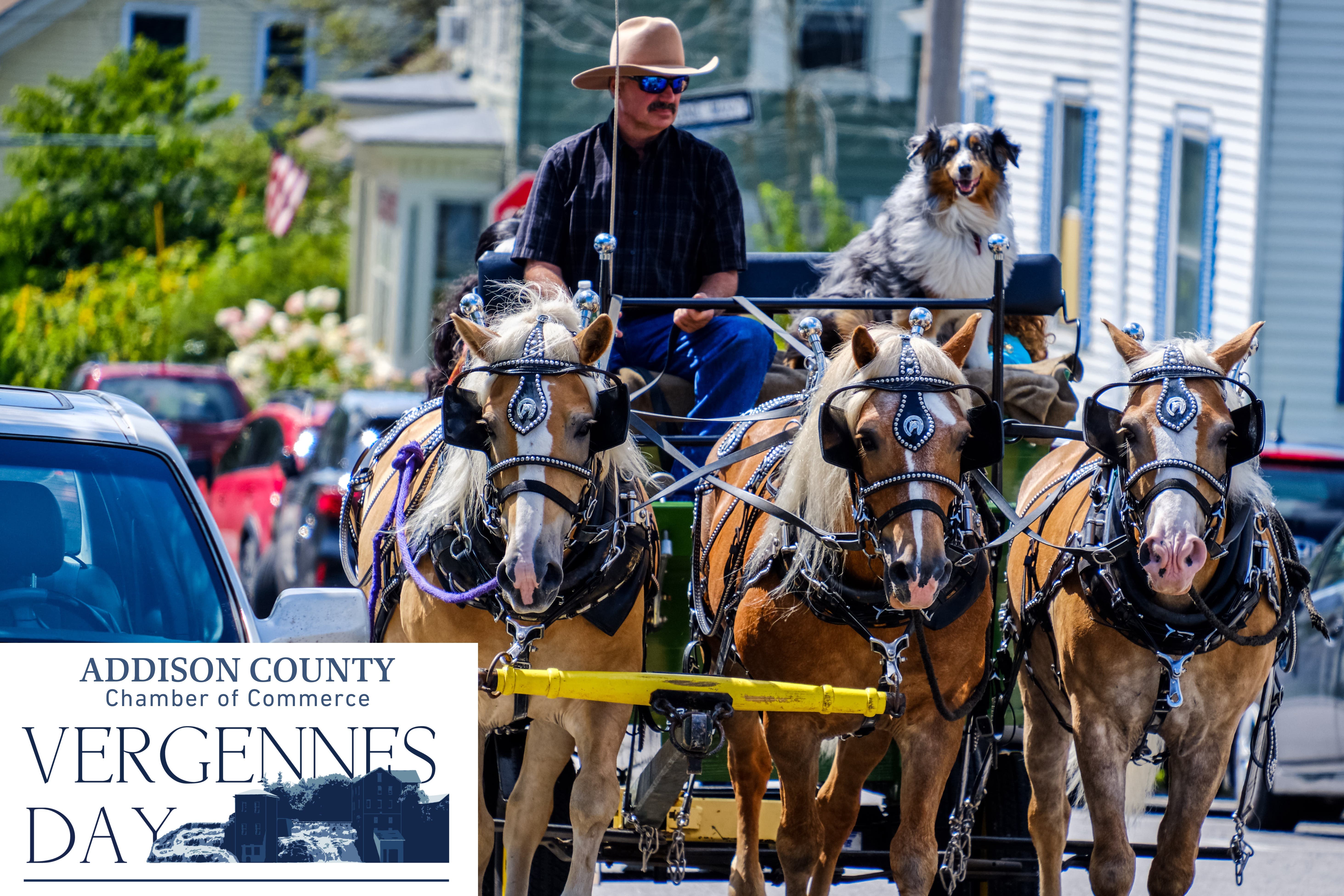 Vergennes Day