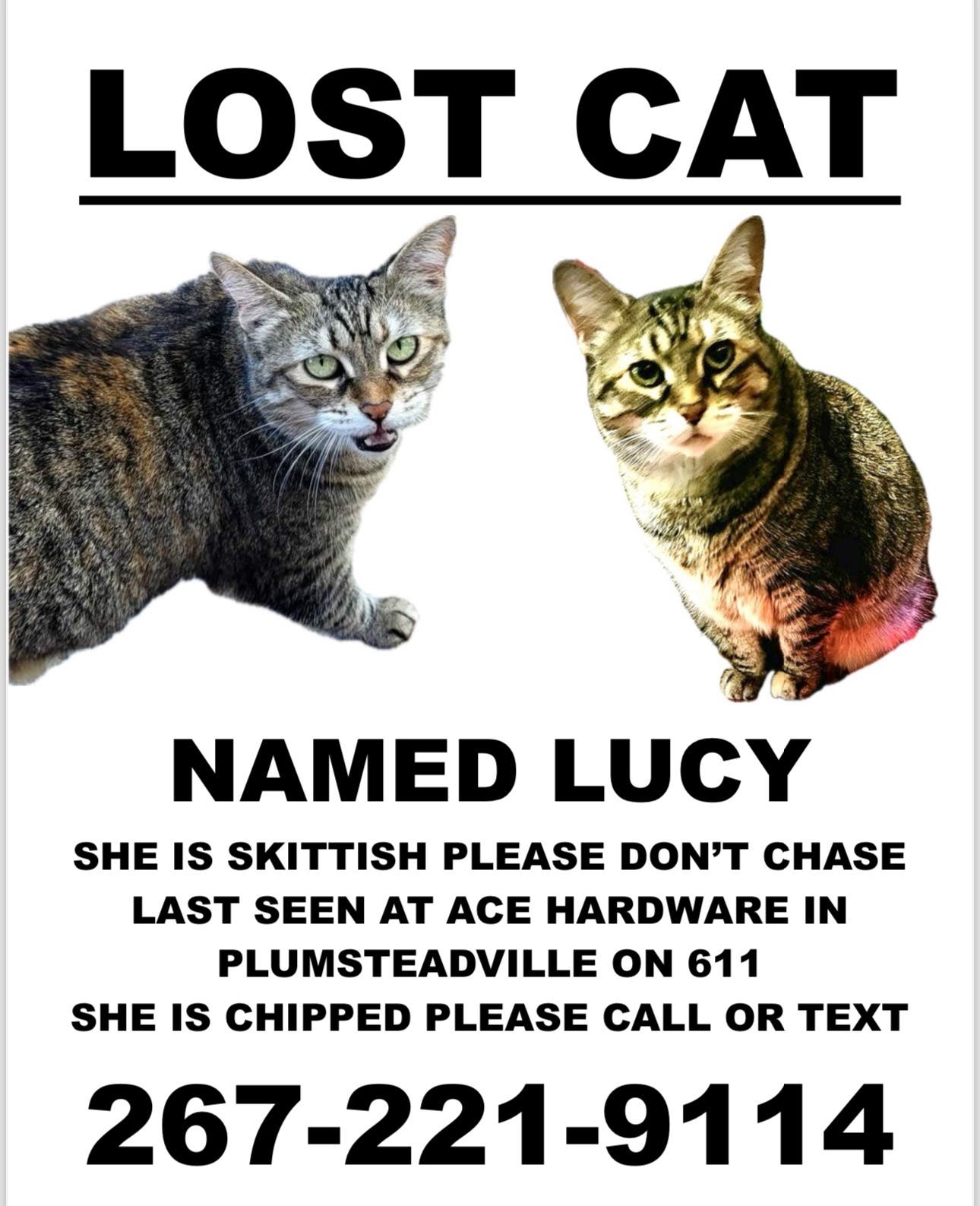 Lucy is still missing 