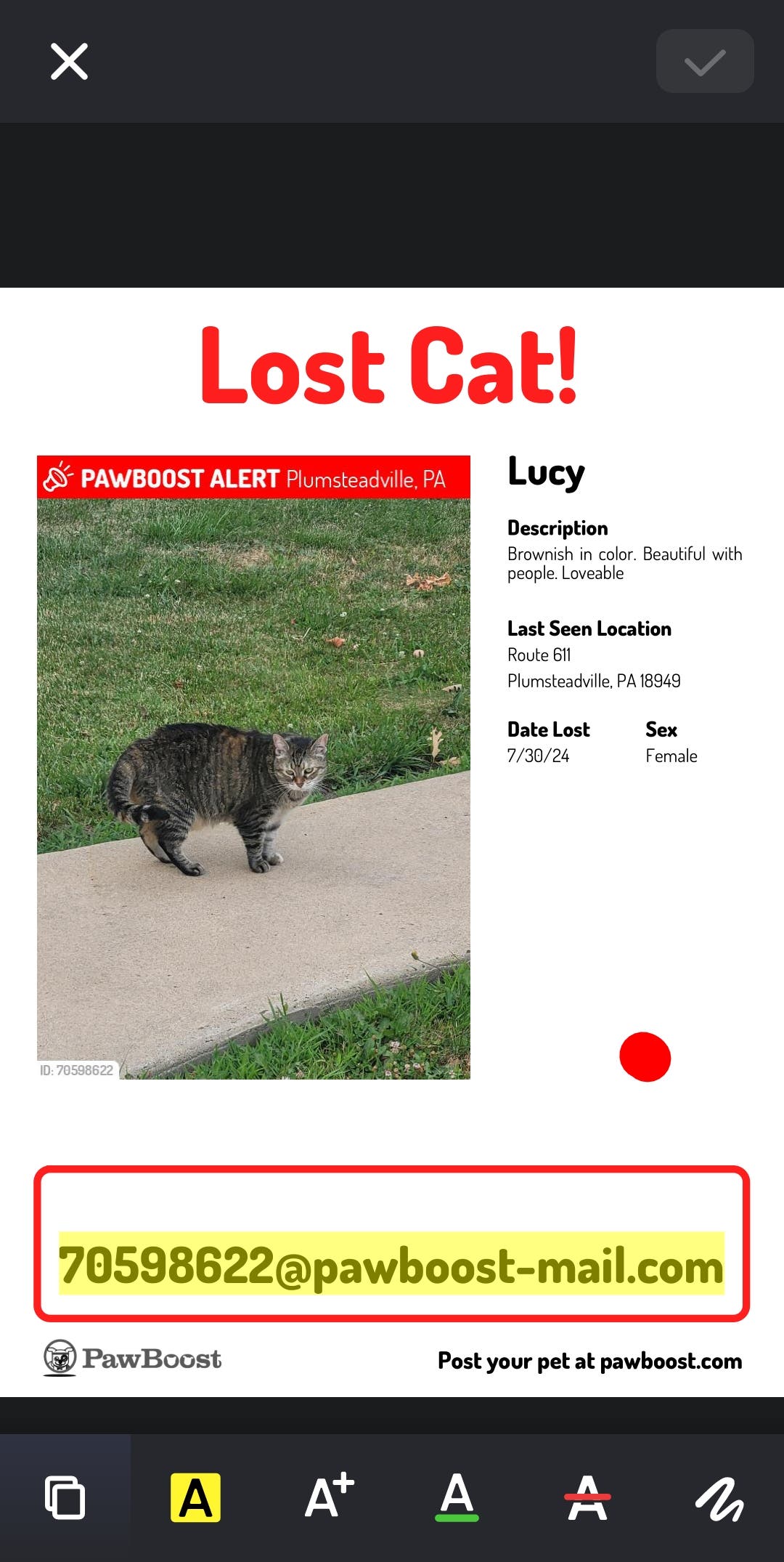 Please help find Lucy