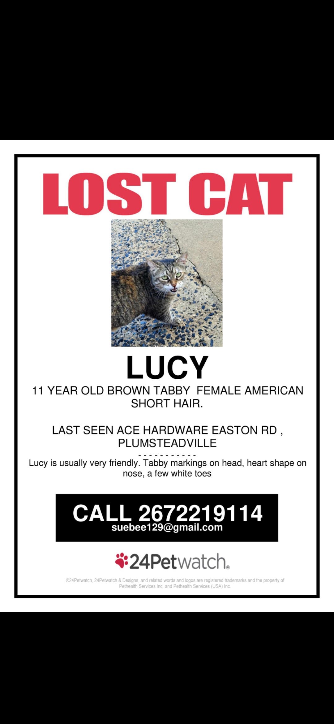 Lucy still lost 