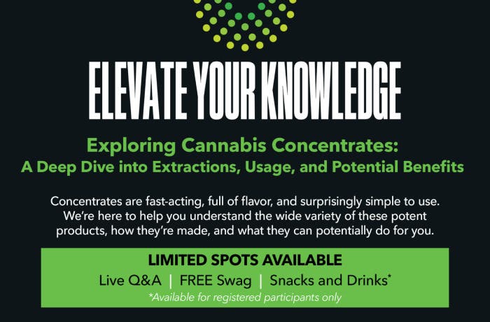 Exploring Cannabis Concentrates: A Deep Dive Into Extractions, Usage, and Potential Benefits