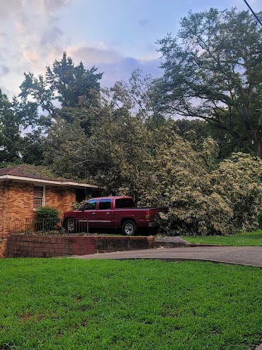 The Importance of Emergency Tree Services During Storm Season