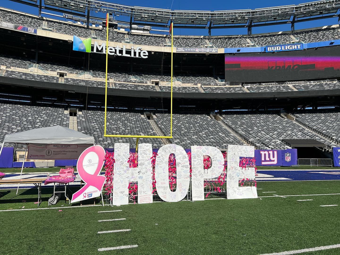 Making Strides Against Breast Cancer of the Meadowlands