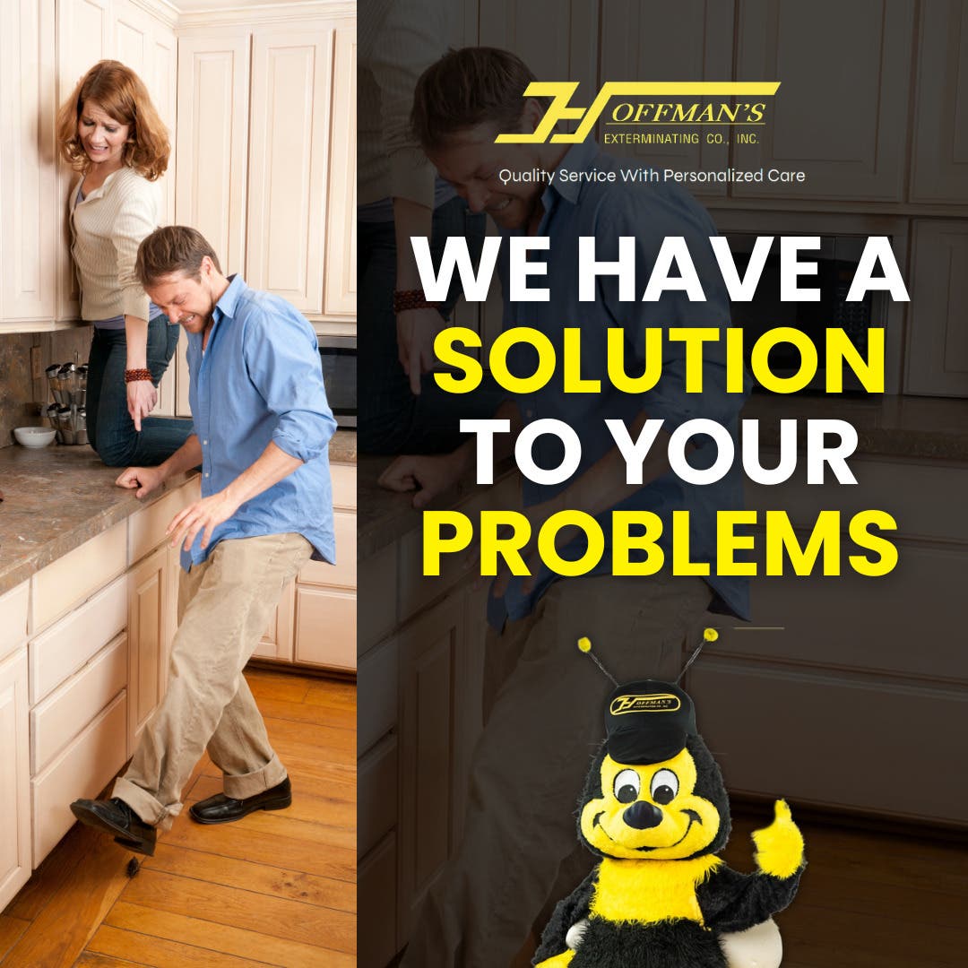 Facing pest problems? 