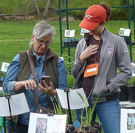 Fall Native Plant Sale at Morven Park