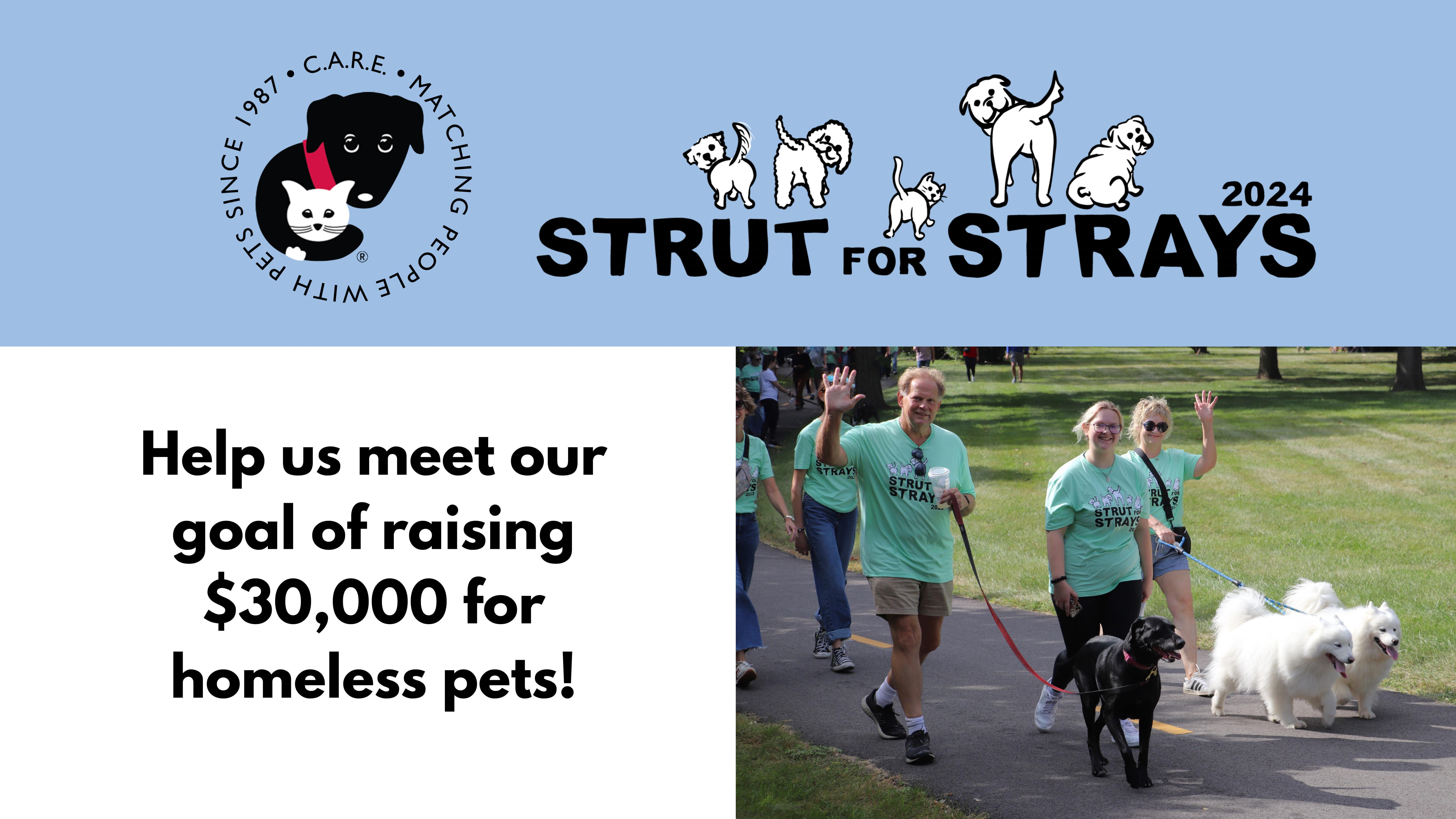 Strut for Strays