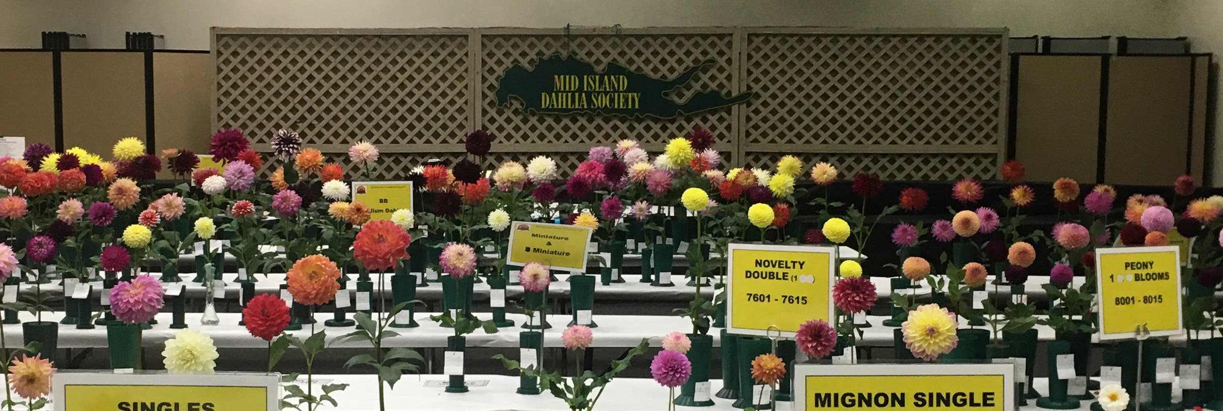 58th Annual Dahlia Exhibition