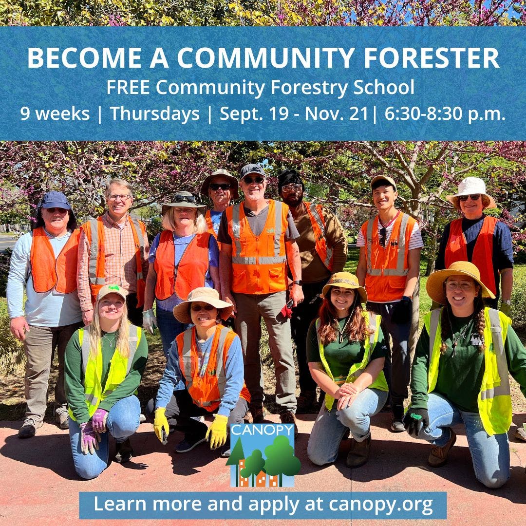 Enroll in FREE Community Forestry School!