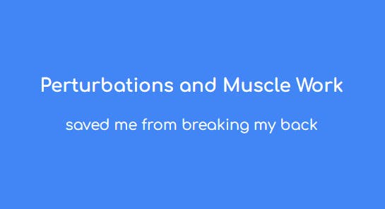 Free Lecture -  Perturbations and Muscle Work