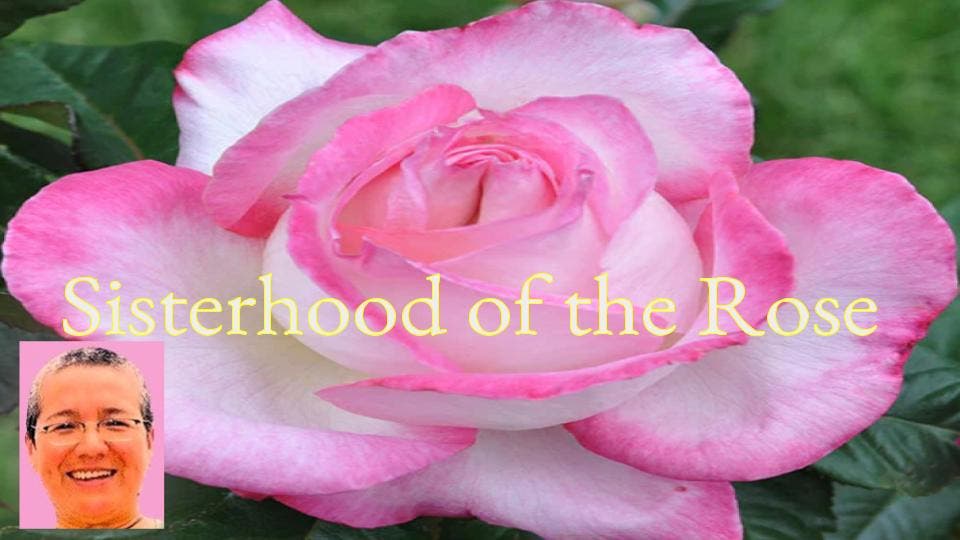 Sisterhood of the Rose Healing Circle