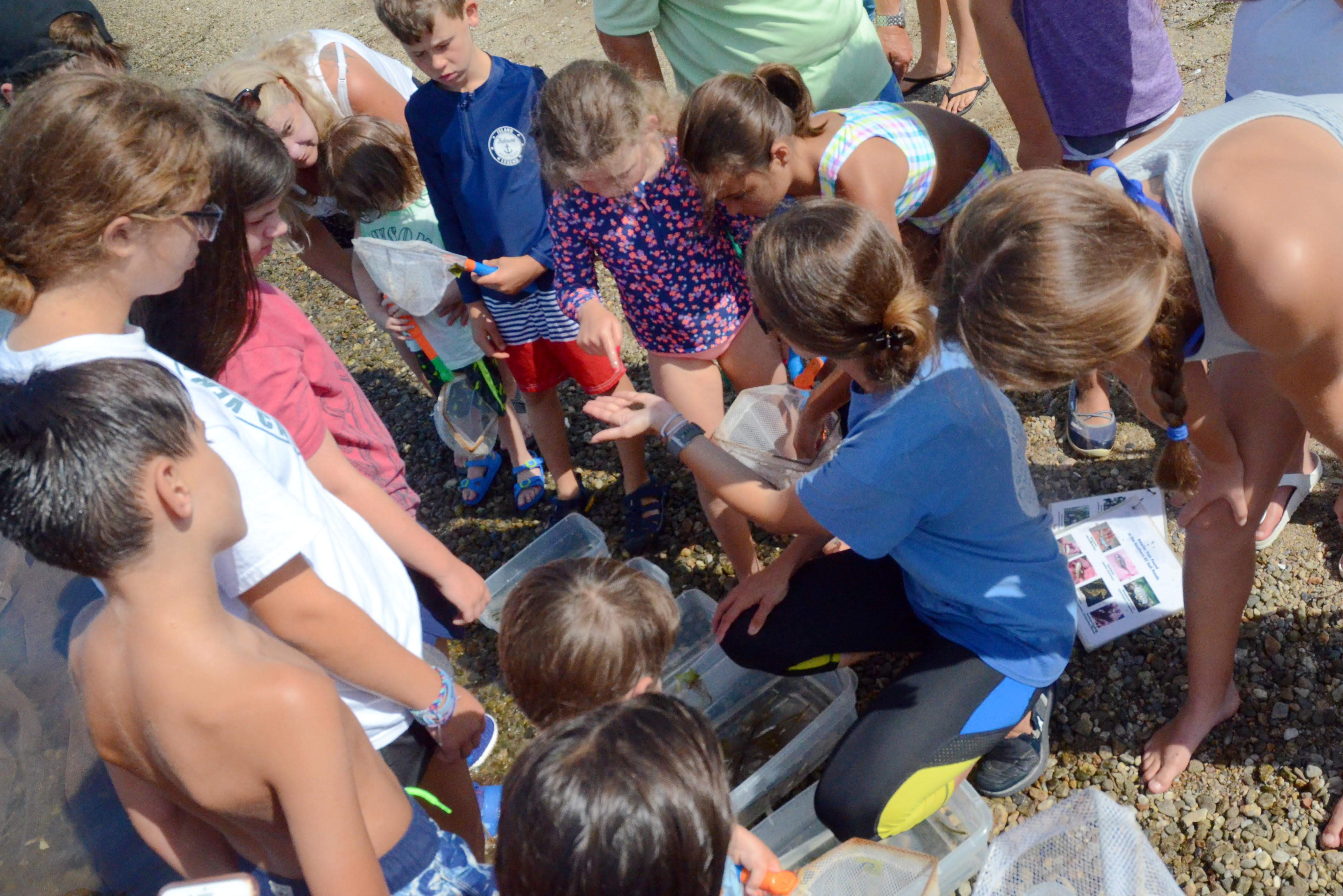 Salt Pond Safari