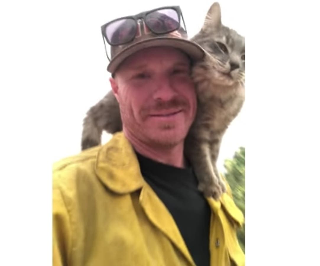 Kitty Won't Leave California Firefighter Who Rescued Her