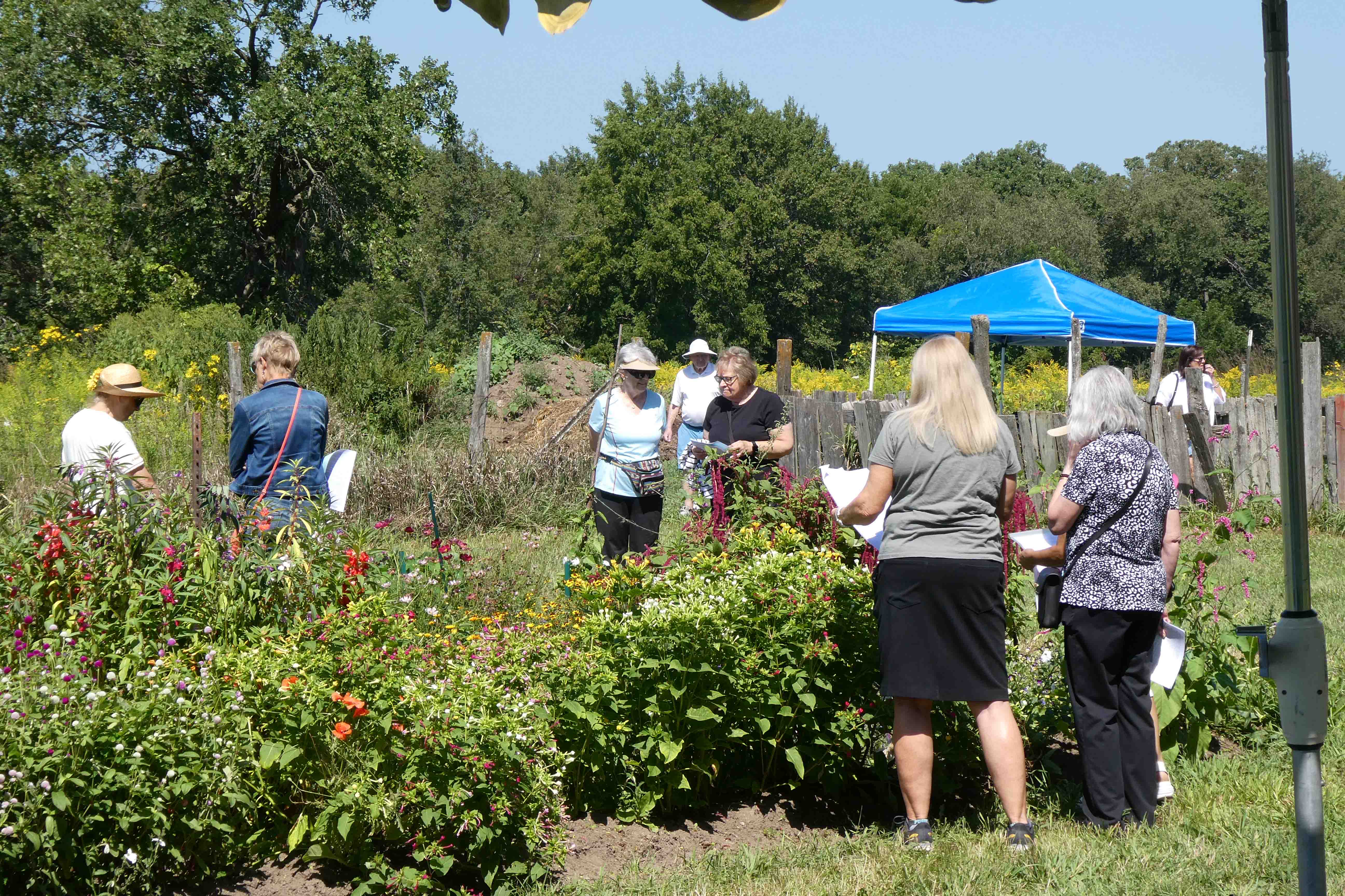 Heirloom Garden Show