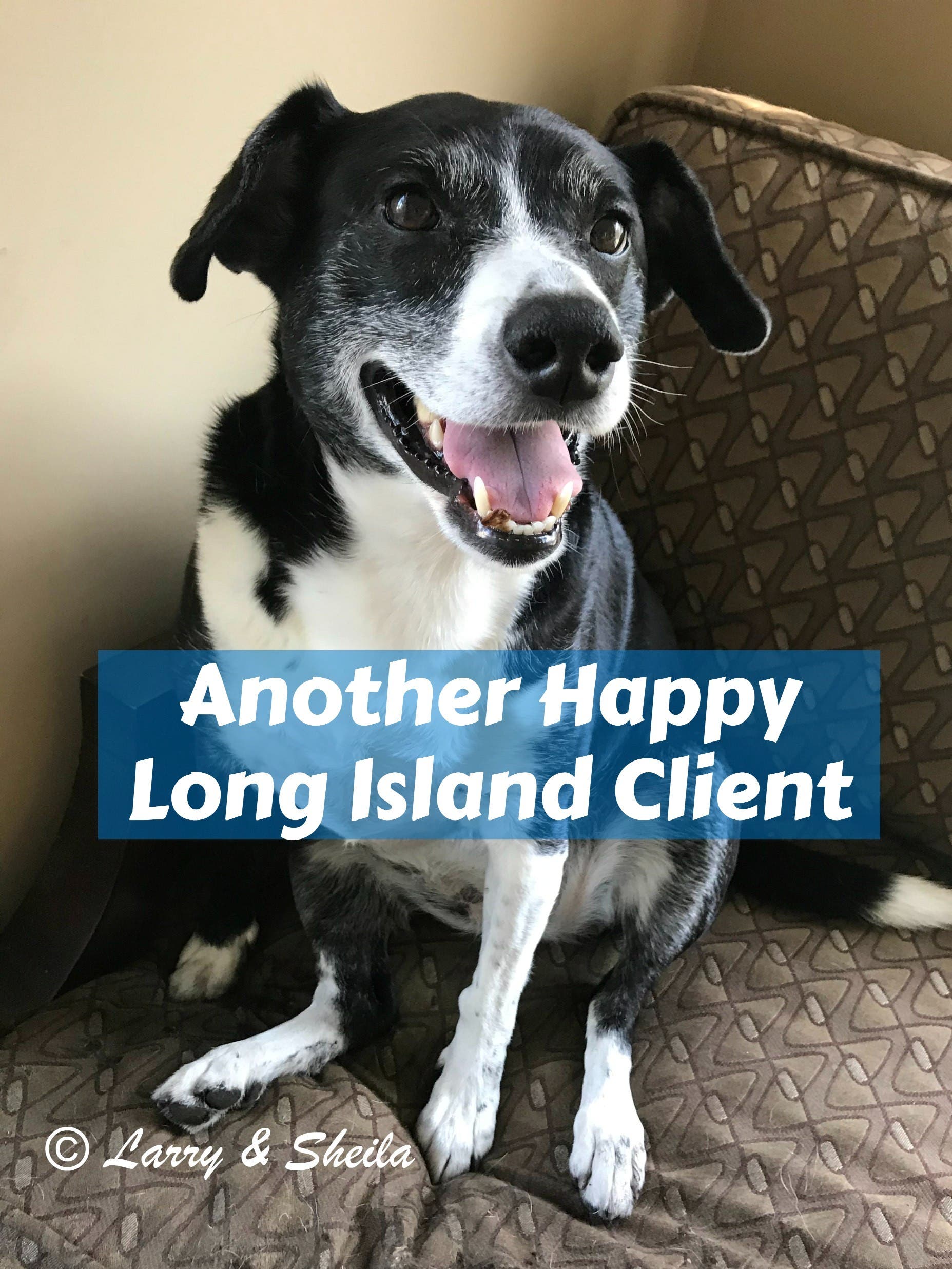 Long Island Happy Real Estate Client