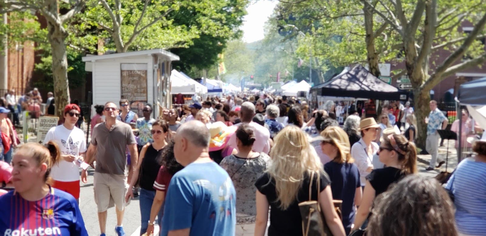 Nyack Famous Street Fair 