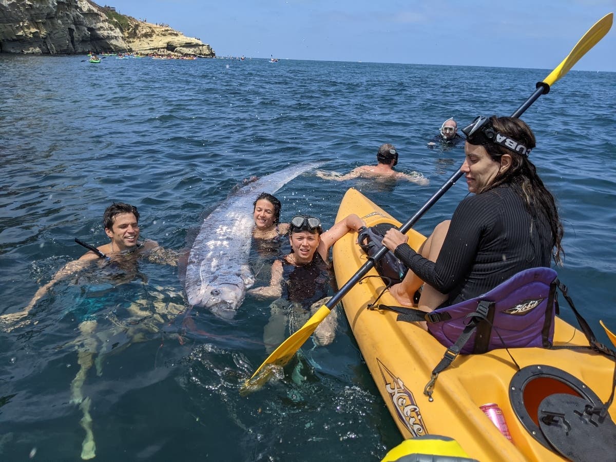 Rare Deep-Sea 'Doomsday Fish' Found In San Diego