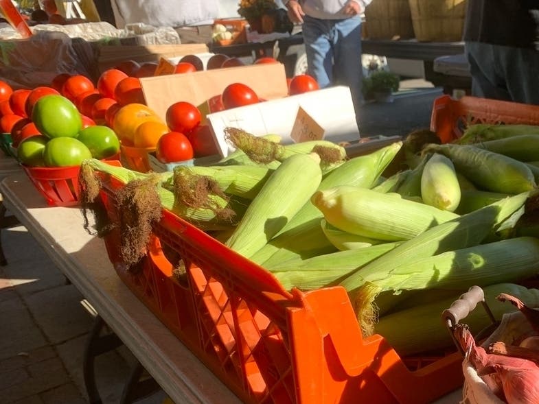 Free Farm Stand Tuesday At People's Place In Kingston