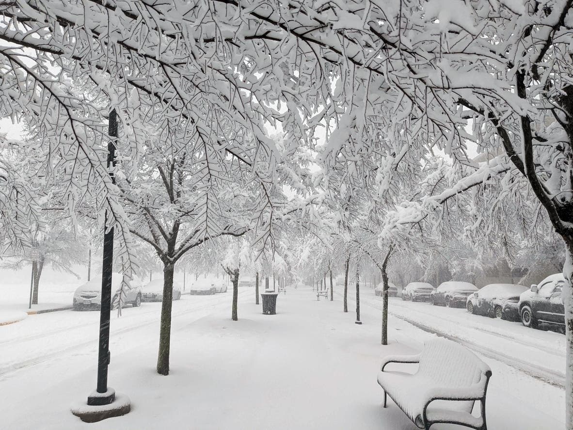 Here’s What La Niña Could Mean For Winter Temps, Snowfall In MD