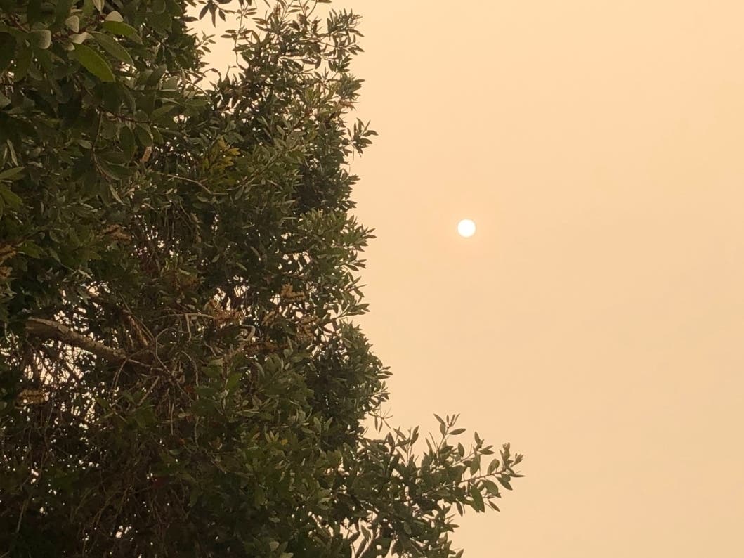 The sun appears in a smoky sky in Southern California.