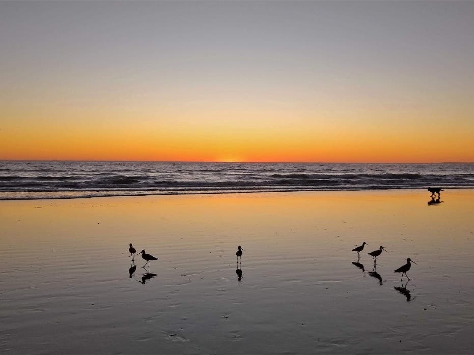 Low Tide Beach Walk With Friends: Photo Of The Day