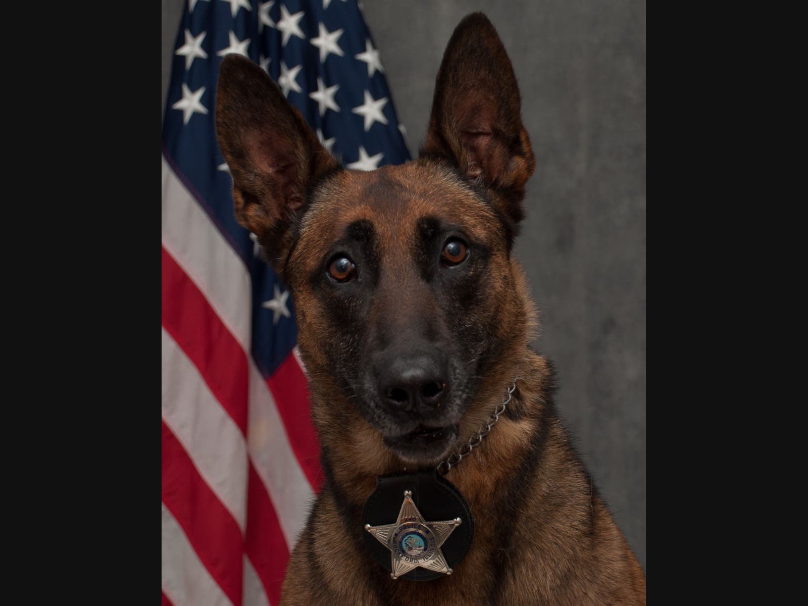 K-9 Nyx