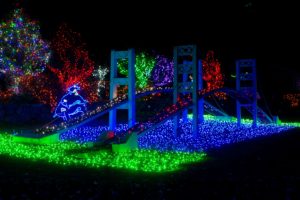 Narrow Bridge at Zoolights