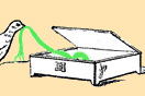 
[image ALT: An engraving of a bird rummaging in a small rectangular box and pulling out a ribbon. It is an illustration of an ancient Graeco-Roman pyxis.]
			