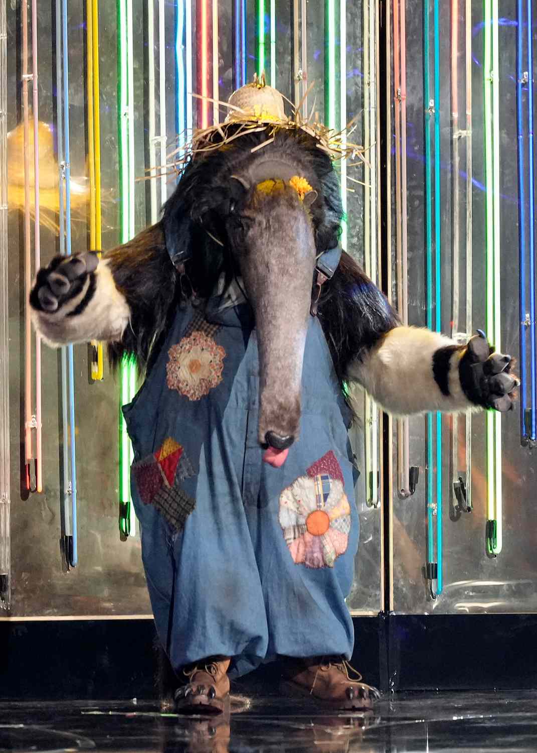 THE MASKED SINGER: Anteater