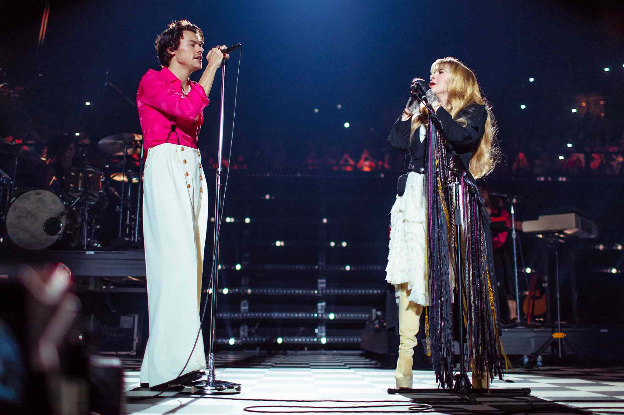 Harry Styles and Stevie Nicks