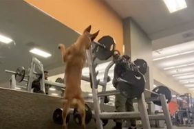 Feisty' Dog Mimics Owner's Squats at Gym